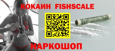 шишки Новодвинск