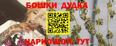 прущие крисы Новокубанск