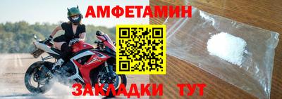 шишки Новодвинск