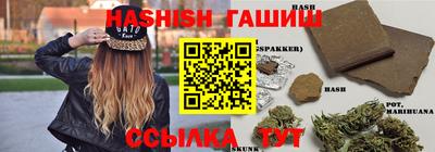 шишки Новодвинск