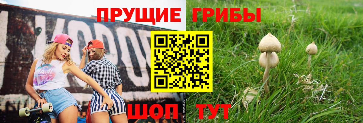Псилоцибиновые грибы мухоморы  Вход с VPN  Ревда  Галлюциногенные грибы GOLDEN TEACHER 