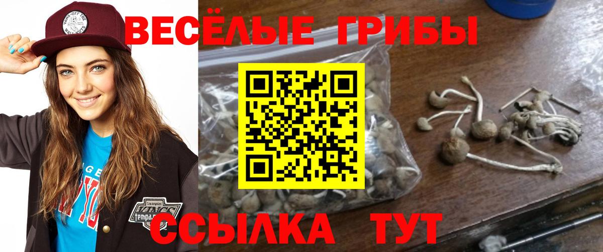 Галлюциногенные грибы Magic Shrooms Ревда